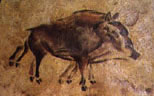 The 'Running' Eight-Legged Boar Of Altamira