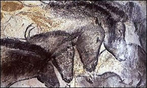 Early Cave Art Of Four Horses In A Race From The Chauvet Cave