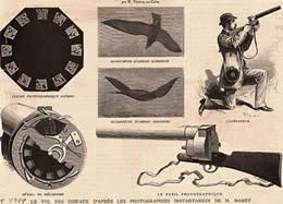Illustration Showing Marey's Fusil Photographique