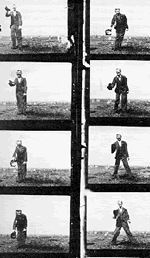 Eight Frames From A Film By Skladanowsky For The Bioscop